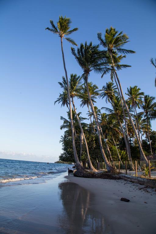 Club Meridional Praia Dos Carneiros By Aft Tamandaré Екстериор снимка